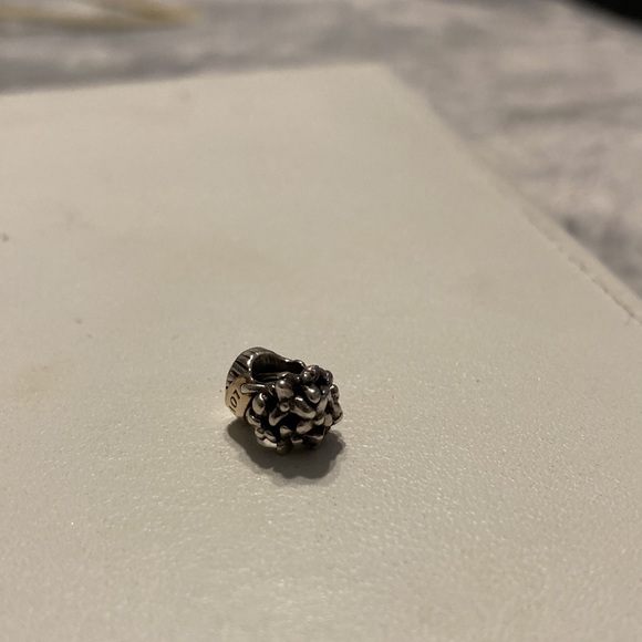 Pandora Flower Basket Charm - Picture 9 of 10